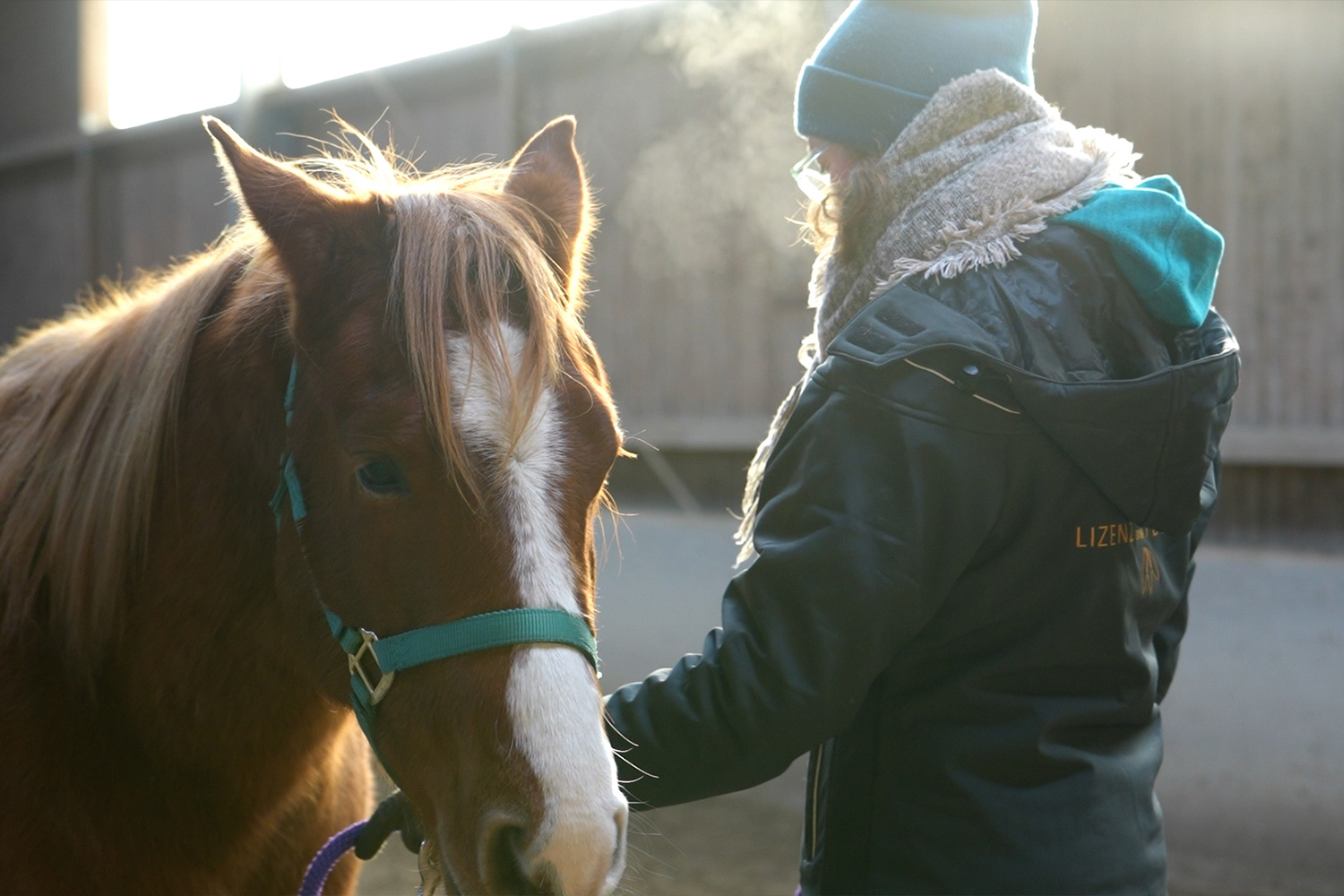Ausbildung Coaching mit Pferden in Bescheid